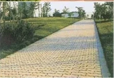 product-223-153 product-223-153